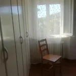 Maggiociondolo Fabriano
