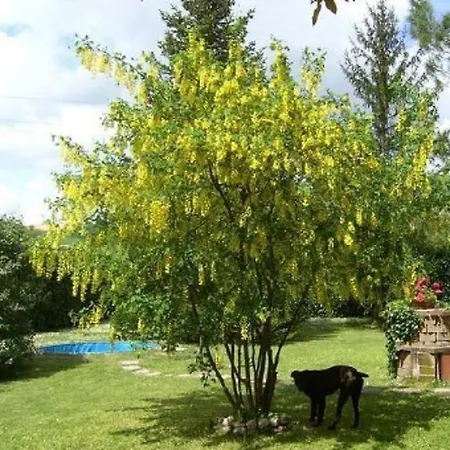 Maggiociondolo Bed & Breakfast